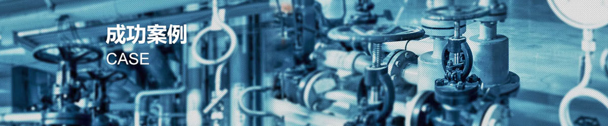 �ɹ�����